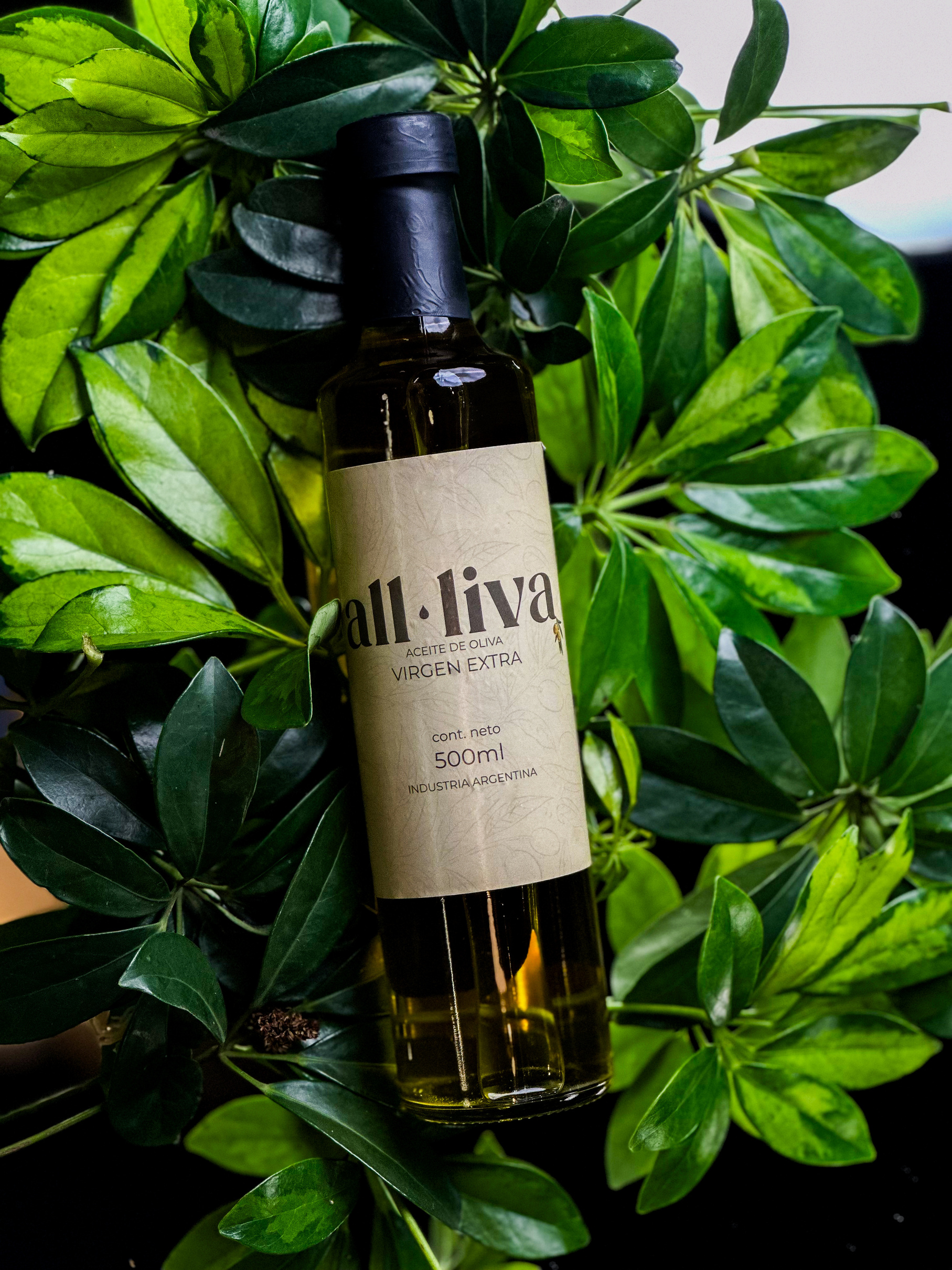Garrafa de azeite de oliva extravirgem ALL-LIVA envolvida por folhagens verdes